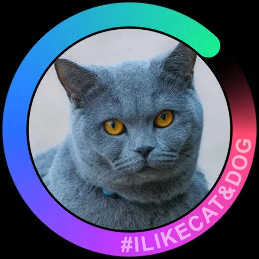 Instagram style profile picture pfp