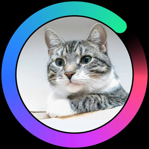 Twitter style profile picture pfps